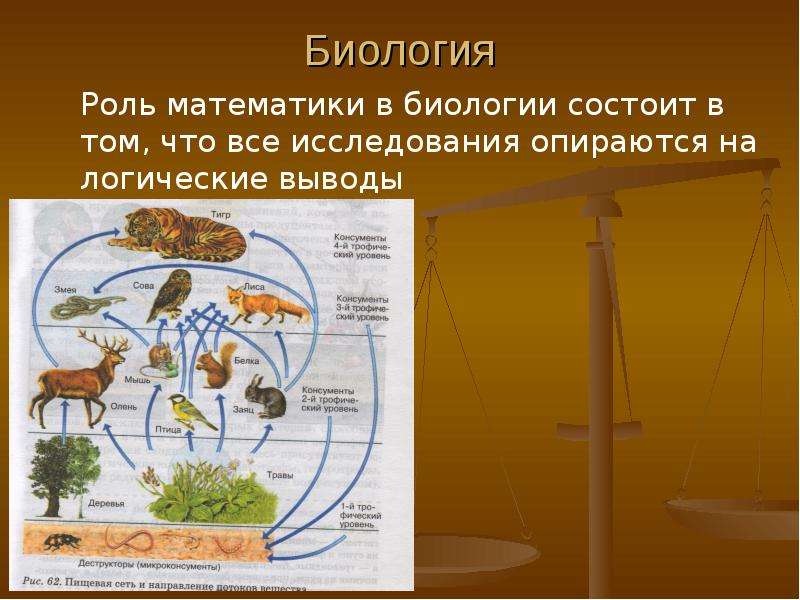 Биология 4. Роль математики в биологии. Математика и биология связь. Математика в биологии примеры. Математический метод в биологии.