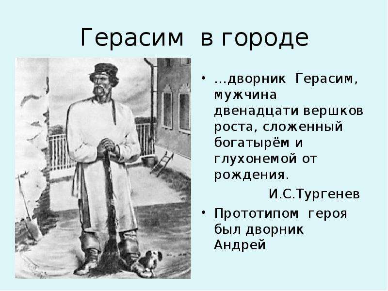 Описать герасима. Муму Герасим дворник. Тургенев и.с. Муму дворник Герасим. 12 Вершков роста Муму. Герасим рост 12 Вершков.