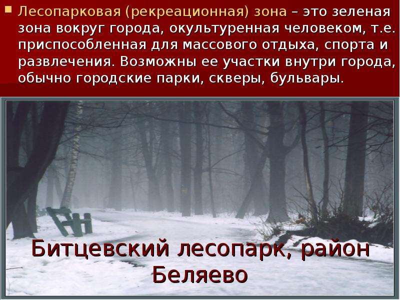 Влияние города зоны. Лесопарковая зона. Как влияет человек на лесопарк. Презентация по теме влияние окружающей среды на здоровье человека. Влияние городской среды на здоровье человека.