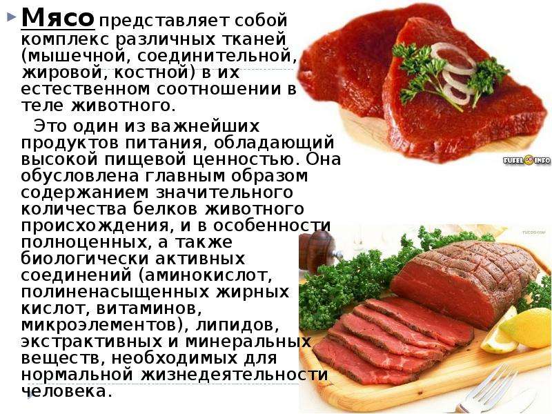 Презентация по мясу - 85 фото