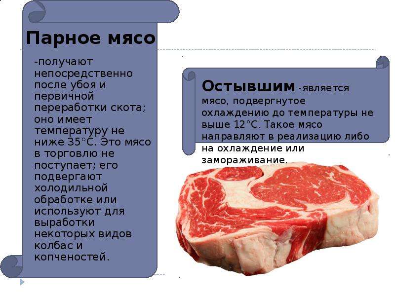 Вес говядины. Вес парного и охлажденного мяса. Схема созревания мяса.