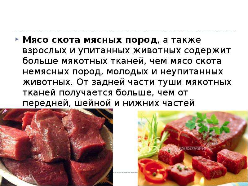 Виды мяса презентация