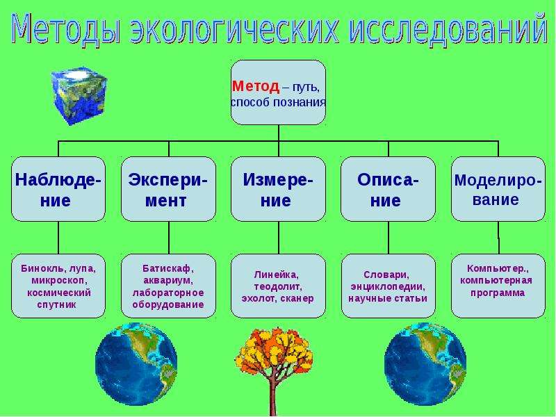 Типовой план экологических исследований