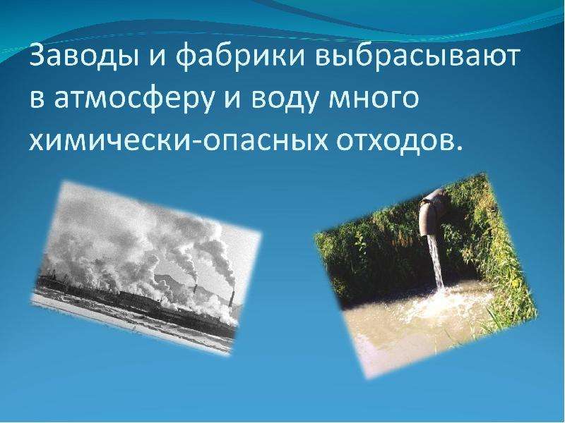 Изображение стоящих на берегу деревьев в зеркале воды физическое явление