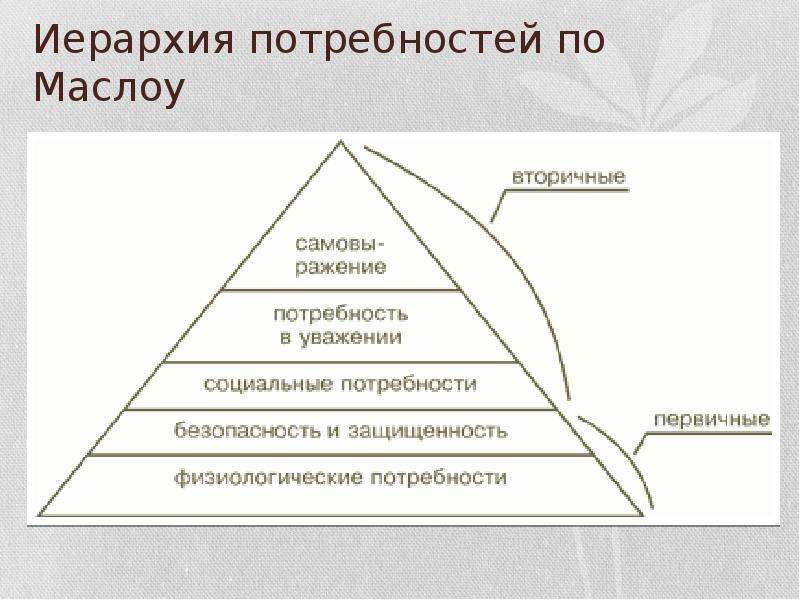 3 потребности. Мотивация и иерархия потребностей. Первичные потребности Маслоу. Различные подходы к иерархии потребностей. Место в иерархии потребностей первичные.