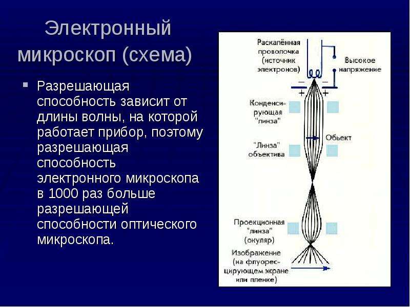 Способность микроскопа. Разрешающая способность электронного микроскопа. Разрешающая способность светового и электронного микроскопа. Разрешающая способность микроскопа 0.2мм. Электронная микроскопия разрешающая способность.