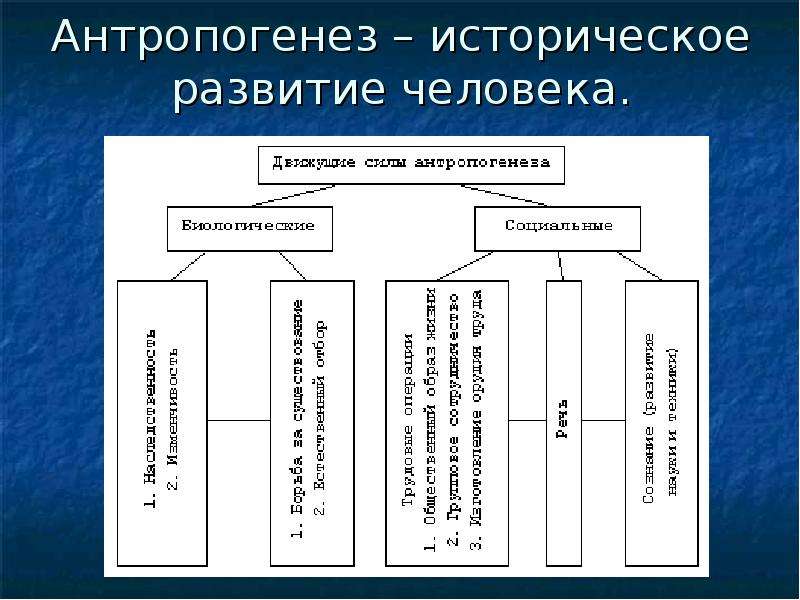 Движущие силы антропогенеза схема