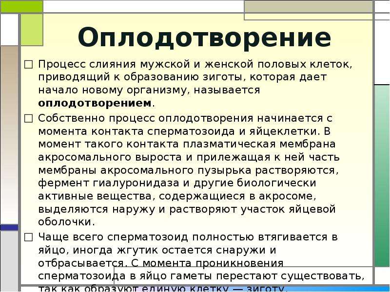 Оплодотворением называют. Процесс слияния мужской и женской половых клеток. Оплодотворение кратко. Процесс оплодотворения. Оплодотворение человека кратко.