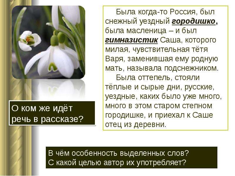 Бунин подснежник слушать. Рассказ Подснежник Бунин. Иллюстрация к рассказу Бунина Подснежник.