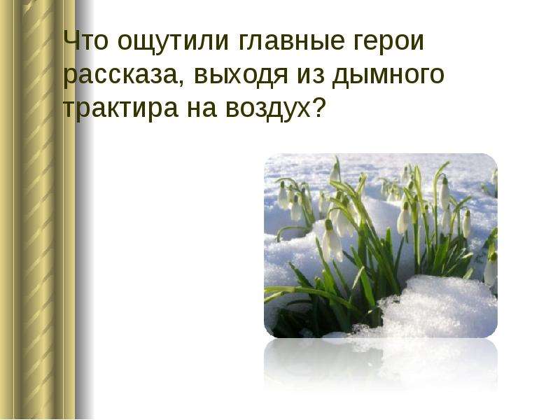 Бунин подснежник слушать. Бунин и. "Подснежник". Рассказ Бунина Подснежник. Иллюстрация к рассказу Бунина Подснежник. Бунин Подснежник рисунок.