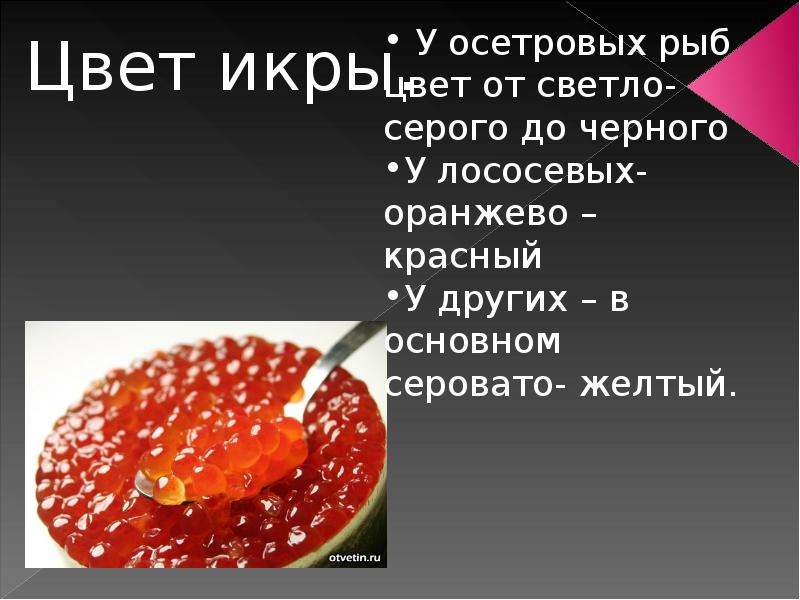 Презентация Рыба копченая, вяленая, сушеная, слайд №20