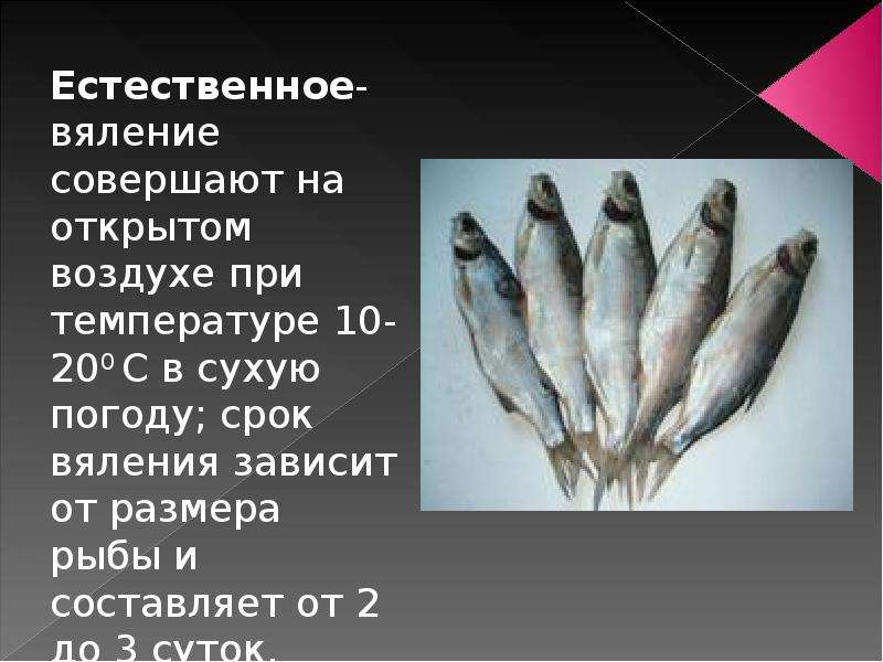 Презентация Рыба копченая, вяленая, сушеная, слайд №8