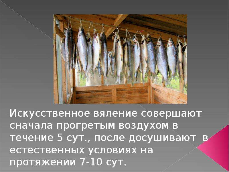 Презентация Рыба копченая, вяленая, сушеная, слайд №9