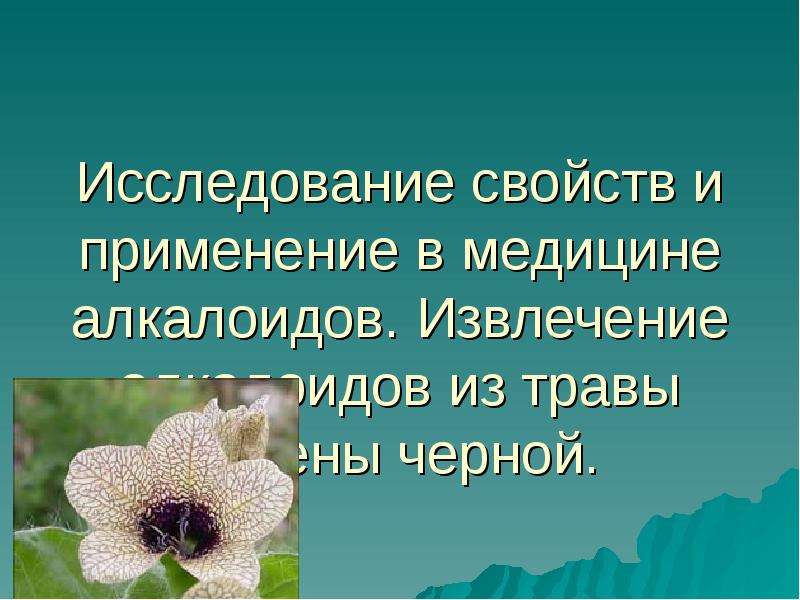 Алкалоид белены. Применение белены в медицине. Алкалоиды медицинское применение. Алкалоид в Белене.