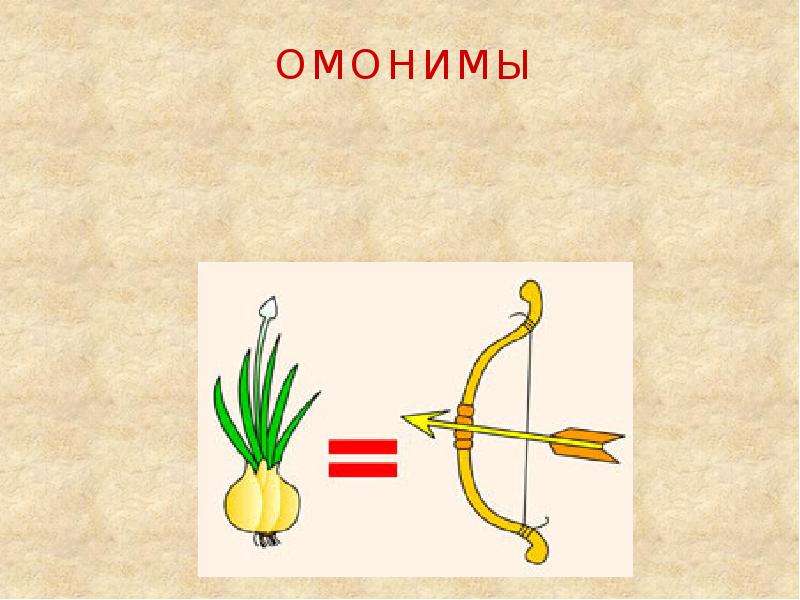 Презентация на тему омонимы