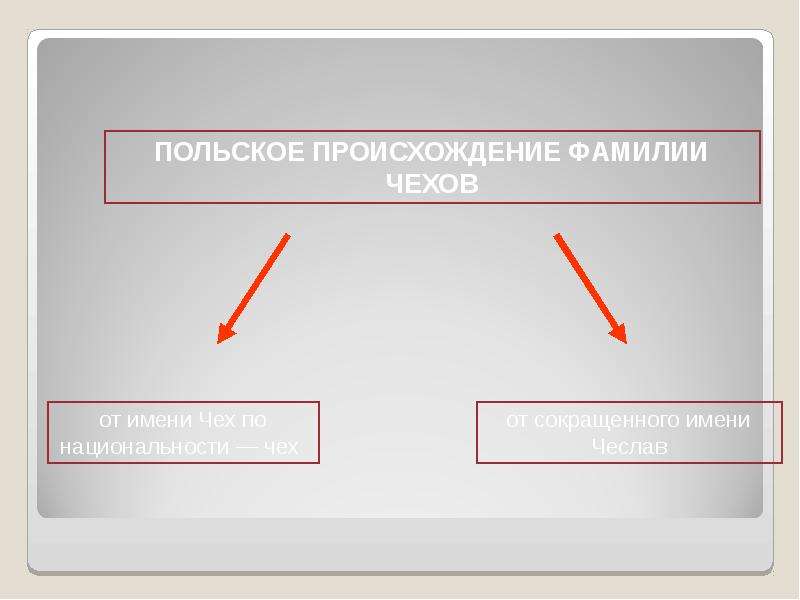 Польские фамилии. Фамилии польского происхождения. Происхождение фамилии Поляков. Поляков происхождение фамилии Национальность. Поняков фамилия происхождение.