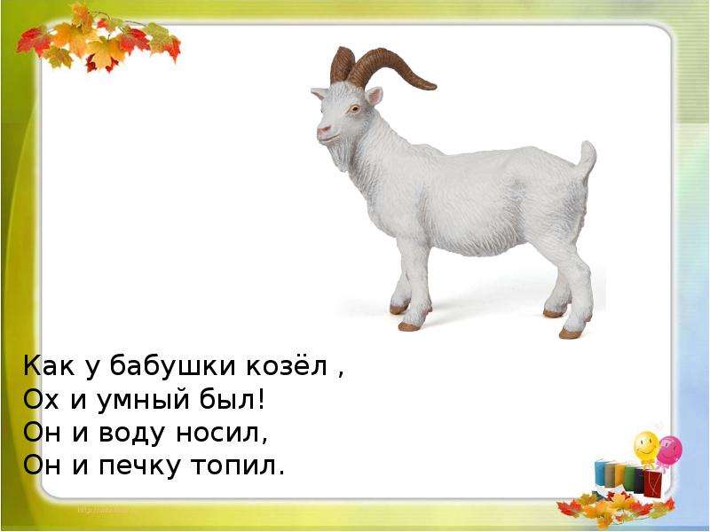 Школьный козел план