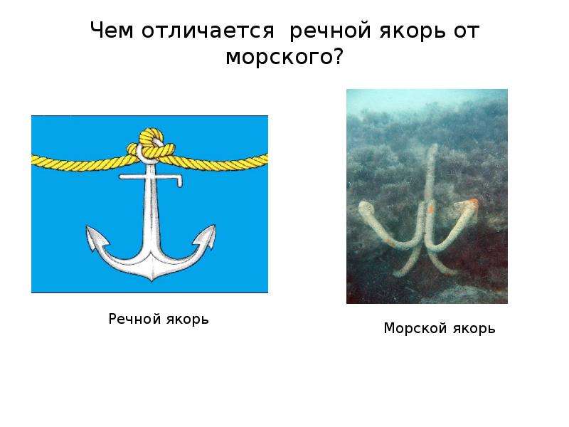 Как отличить морскую. Морской и Речной якорь отличия. Отличие морского якоря от речного. Разница между речным и морским якорем. Название речных якорей.