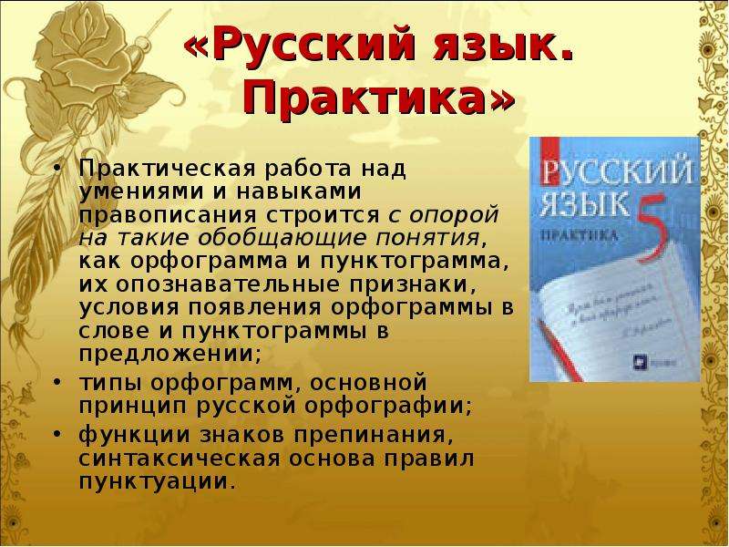 Русский язык практика. УМК Бабайцевой по русскому языку. УМК русский язык Бабайцева. Принципы урока литературы Бабайцевой.