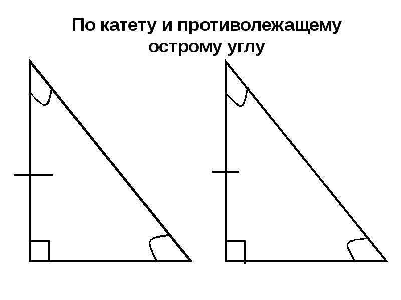 Построить треугольник по 2 катетам. Прямоугольный треугольник по катету и противолежащему углу. Равенство треугольников по катету и противолежащему острому углу. По катету и острому углу. Треугольник по катету и острому углу.