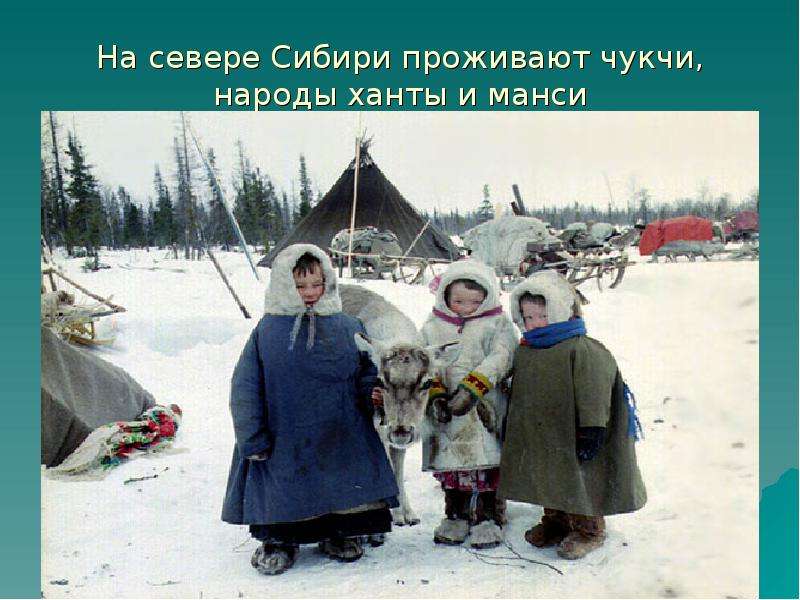 На севере Сибири проживают чукчи, народы ханты и манси