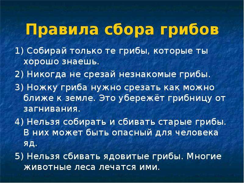 Правила сбора. Правила сбора грибов 3 класс. Собирай только те грибы которые хорошо знаешь. Несколько правил про грибов. Напиши несколько правил сбора грибов.