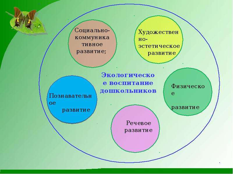 Социальный экологический проект в школе