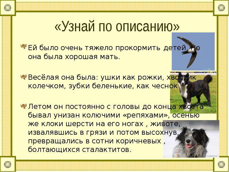 Найти по описанию. Узнай по описанию. Узнай по описанию кто это. Весёлая она была всем нравилась ушки как рожки хвостик колечком. Узнай героя по описанию ей было очень тяжело одной.