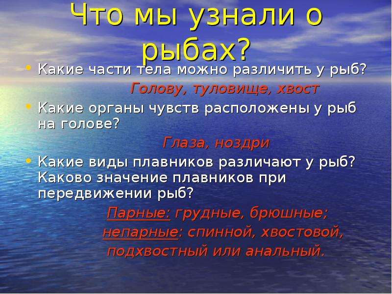 Основные группы рыб