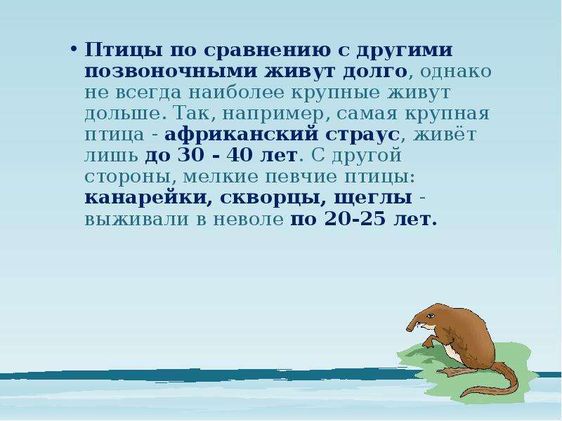 Продолжительность жизни животных класс. Слайд Продолжительность жизни животных. Медведь Продолжительность жизни 1 класс. Презентация Продолжительность жизни животных. Дополнительные жизни животных.