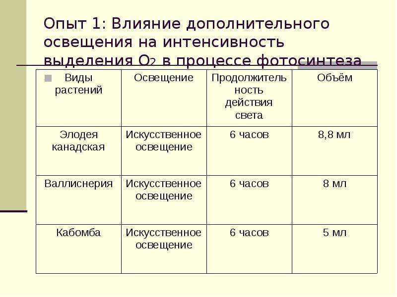 Интенсивность фотосинтеза. Факторы влияющие на фотосинтез. Факторы влияющие на продуктивность фотосинтеза. Факторы влияющие на интенсивность фотосинтеза. Влияние внутренних факторов на фотосинтез.