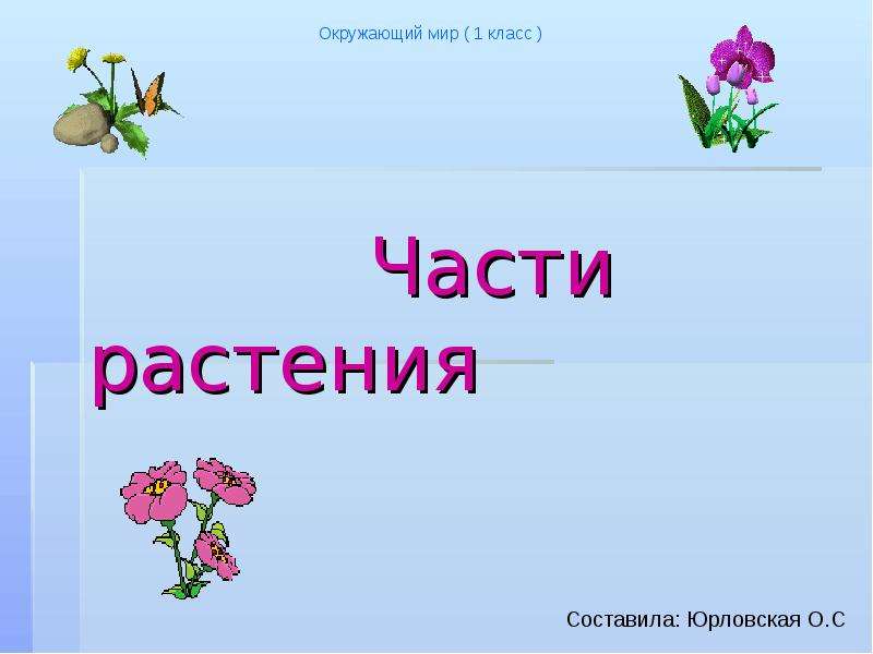 Окружающий мир 1 класс 1 урок презентация школа россии презентация