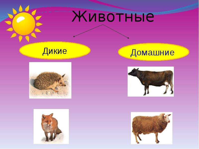 Презентация дикие и домашние животные средняя группа