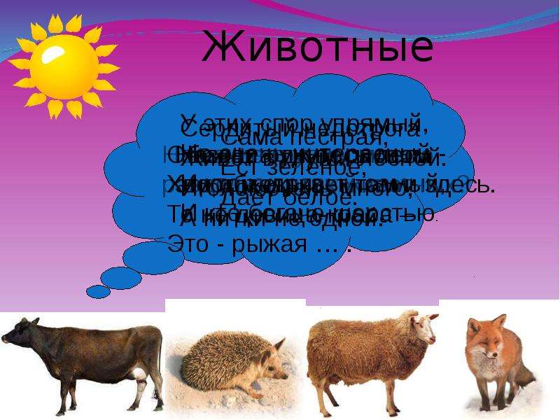 Дикие домашние животные презентация