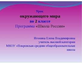 Дикие и домашние животные - презентация к уроку Окружающий мир