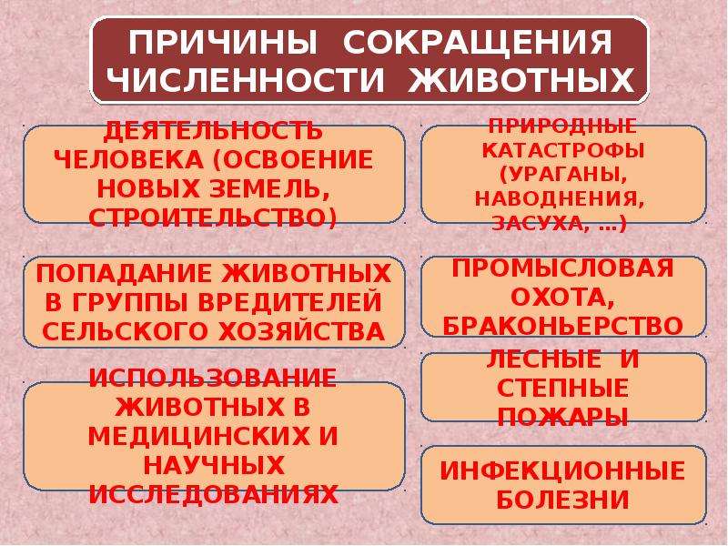 Причины сокращения. Основные причины сокращения численности животных. Причины сокращения численности растений и животных. Основные причины сокращения численности растений и животных. Причины уменьшения численности животных.