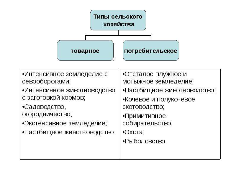 Товарное сельское. Схема сельское хозяйство товарные потребительское. Типы сельского хозяйства. Типы сельского хозяйства схема. Товарное и потребительское сельское хозяйство.