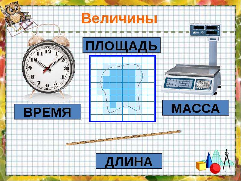 Вес площадь. Величины 4 класс презентация. Величины площади. Величины длины,времени,вес площади 4 класс. Величина масса длина площадь и сутки.