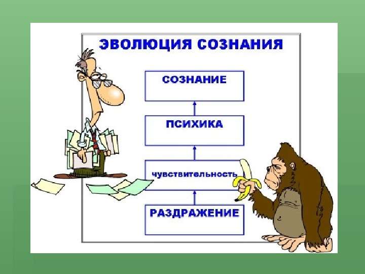 Теневые схемы заработка