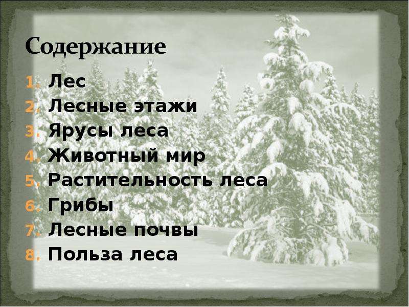 Осенью питает зимой согревает весной веселит. Словосочетание со словом Лесной и Лесистый. Лесистый Лесной паронимы. Песня в которой есть слова лес лес лес и жизнь жизнь жизнь.