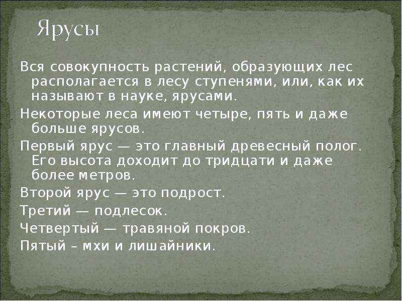 Весной веселит осенью питает. Все растения образующие лес располагаются в лесу ступенями или. Совокупность всех растений образует.