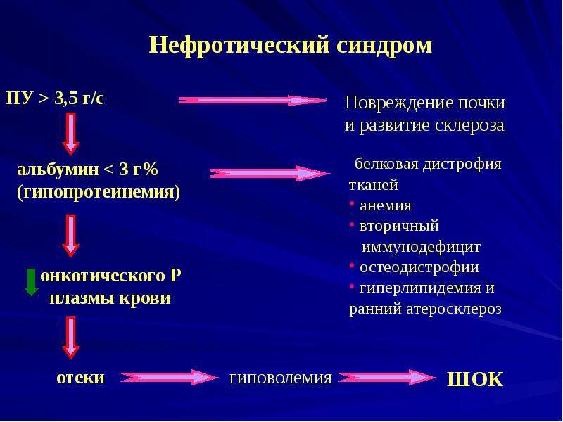 Синдром гиперлипидемия. Причины гиперлипидемии при нефротическом синдроме. Гипопротеинемия при нефротическом синдроме. Нефротический синдром почки. Причиной гипопротеинемии при нефротическом синдроме.