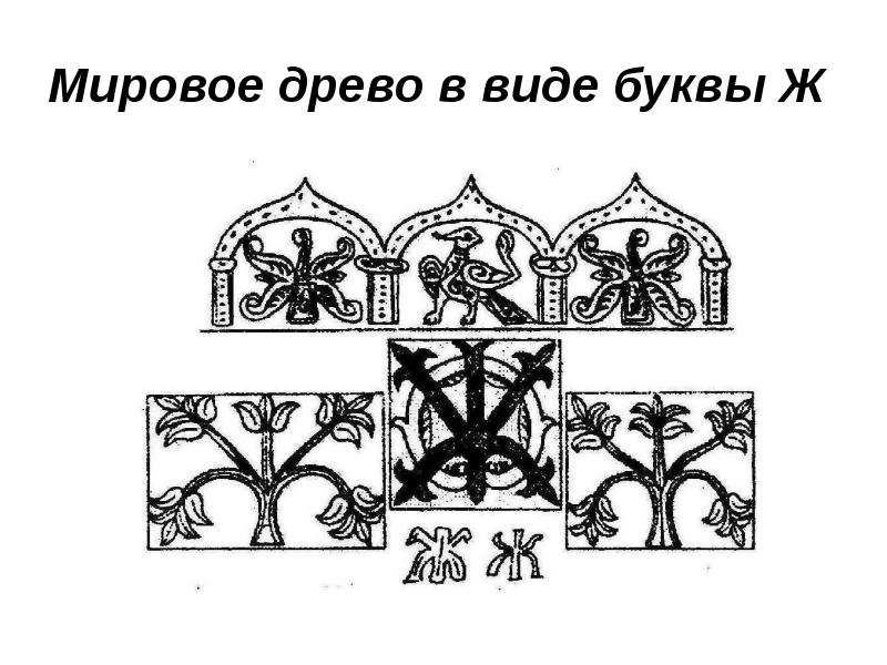 Оплодотворил мировое древо. Дерево в виде буквы ж. Древо жизни и буква ж. Дерево ИГГ У славян. Буква ж огонь у славян.