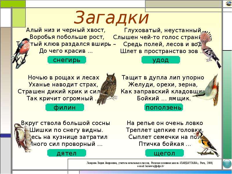 Среди данных слов. Загадка про низ. Загадка про Желудь. Загадки с хвостом. Алый низ и черный хвост воробья побольше рост.