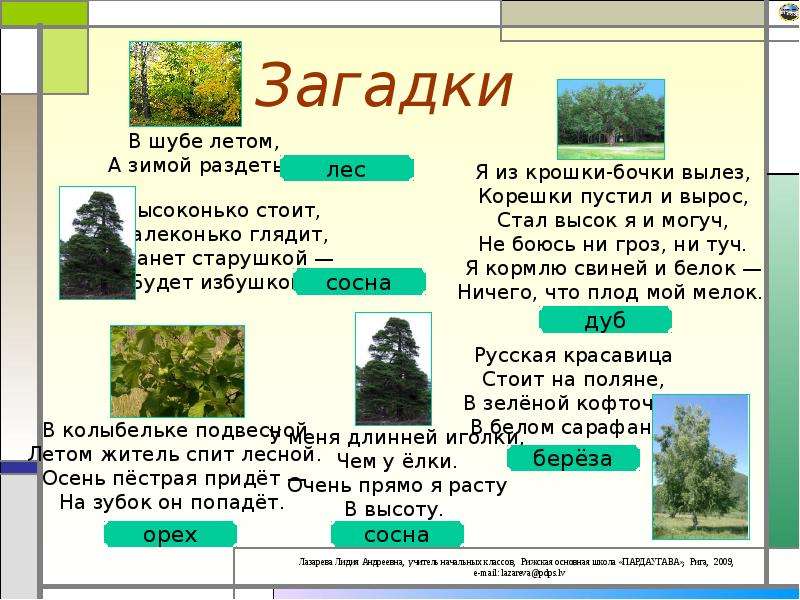 Какой лес без чудес 3 класс родной язык презентация