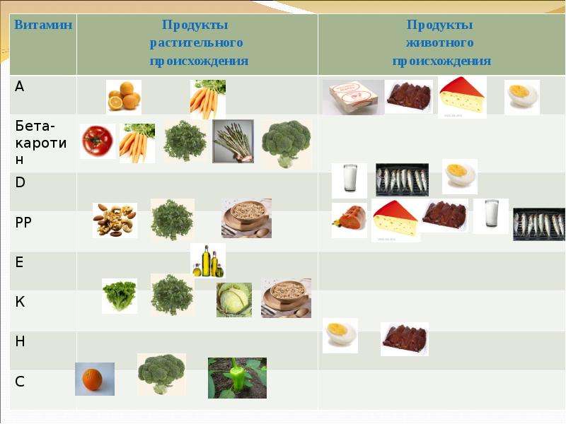 Животные и растительные продукты питания