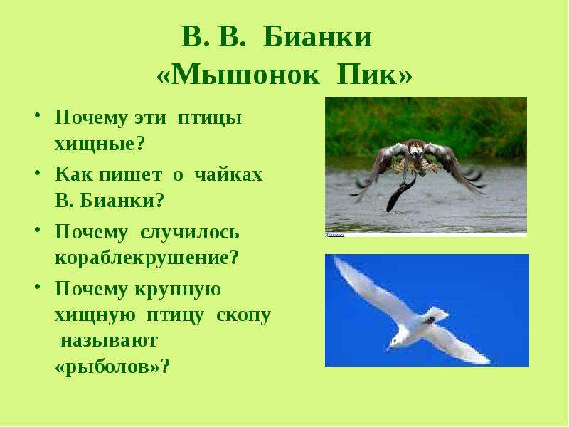 Обобщающий урок по разделу люби живое 3 класс школа россии презентация