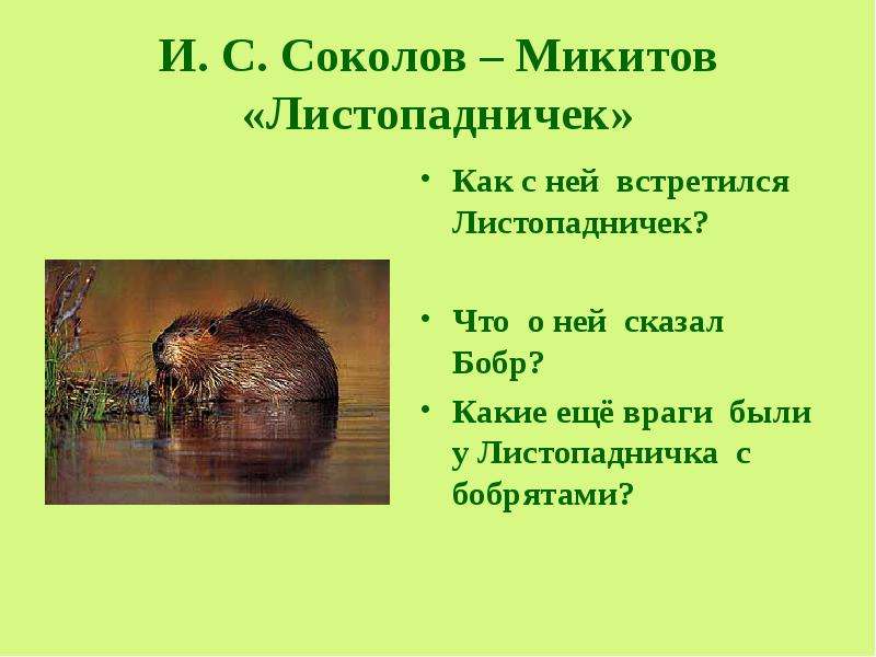 Обобщающий урок по разделу люби живое 3 класс школа россии презентация