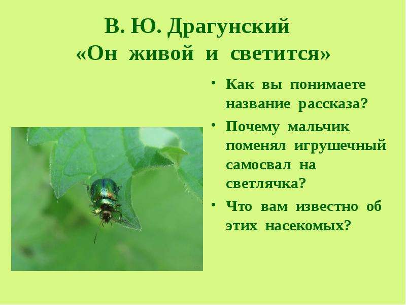 Обобщающий урок по разделу люби живое 3 класс школа россии презентация