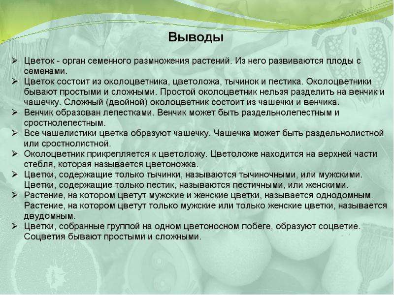 Вывод по биологии. Лабораторная работа соцветия. Вывод соцветия. Вывод на тему соцветие. Строение цветка вывод.